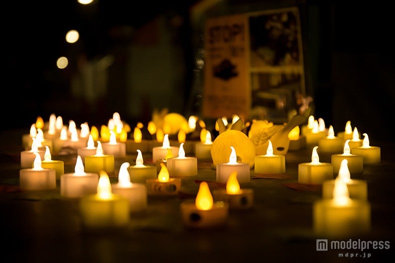 キャンドルナイト／画像提供：東京ベジフードフェスタ2015実行委員会