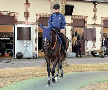 【ジャックルマロワ賞】シックスペンスは雰囲気上々 シュトラウスも落ち着き見せ万全 瀬戸助手「悪くない状態」
