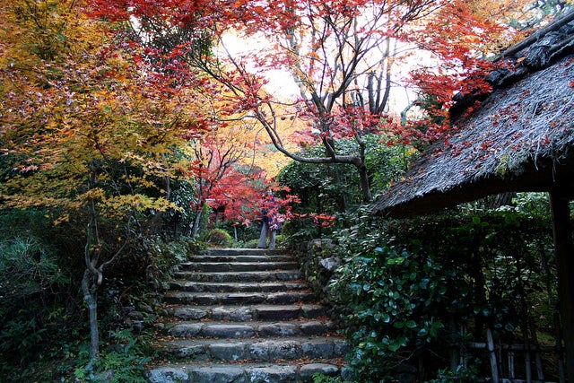 厭離庵 by cyesuta