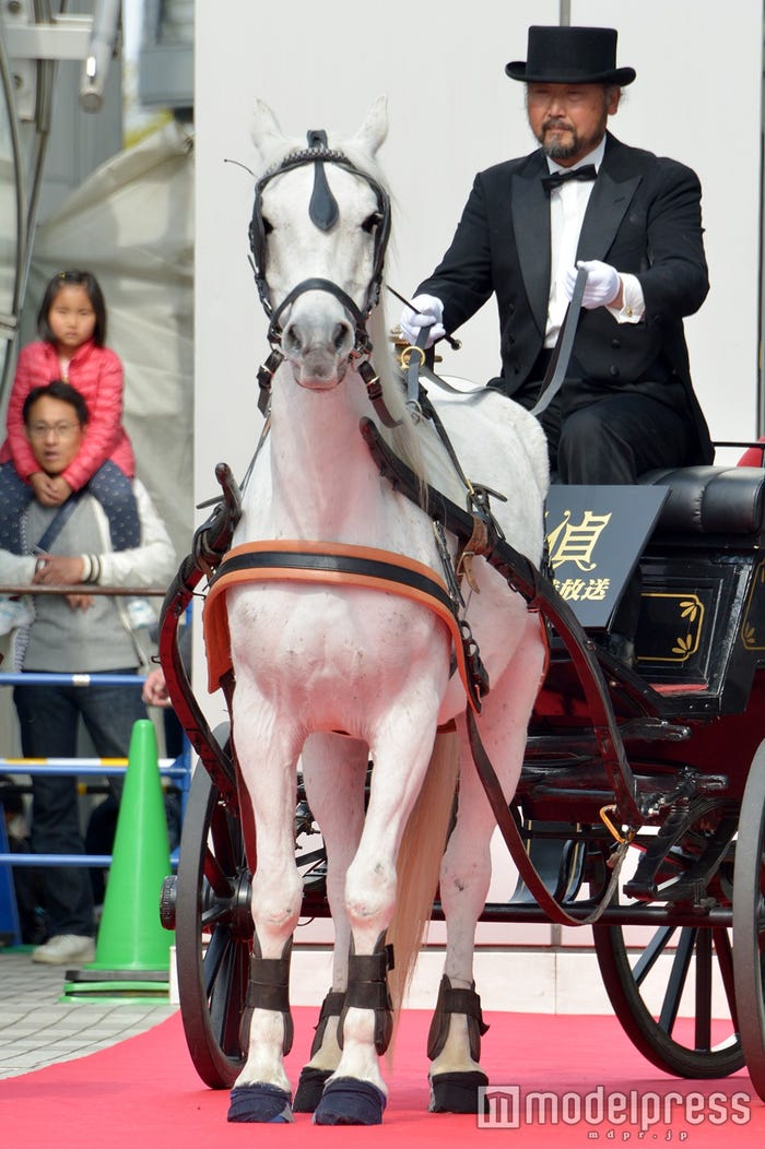 新月9ドラマ「貴族探偵」会見より(C)モデルプレス