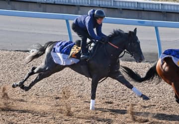【きさらぎ賞】ゾロアストロ好気配 雄大フットワークで余力残して併入