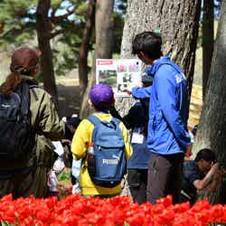 国営ひたち海浜公園/提供画像