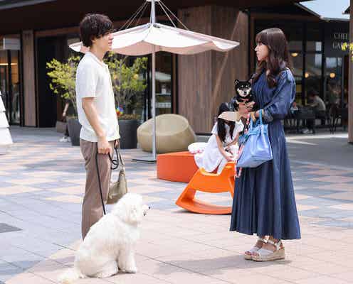 【初恋DOGs 第1話】愛子(清原果耶)&快(成田凌)、愛犬同士が恋に落ちる
