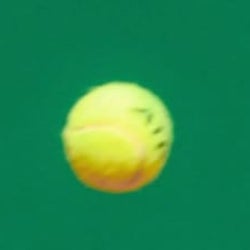 プロテニス若手が熱戦 慶大で3、4月に国際大会