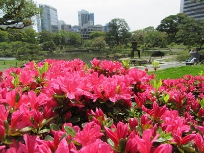 旧芝離宮恩賜庭園