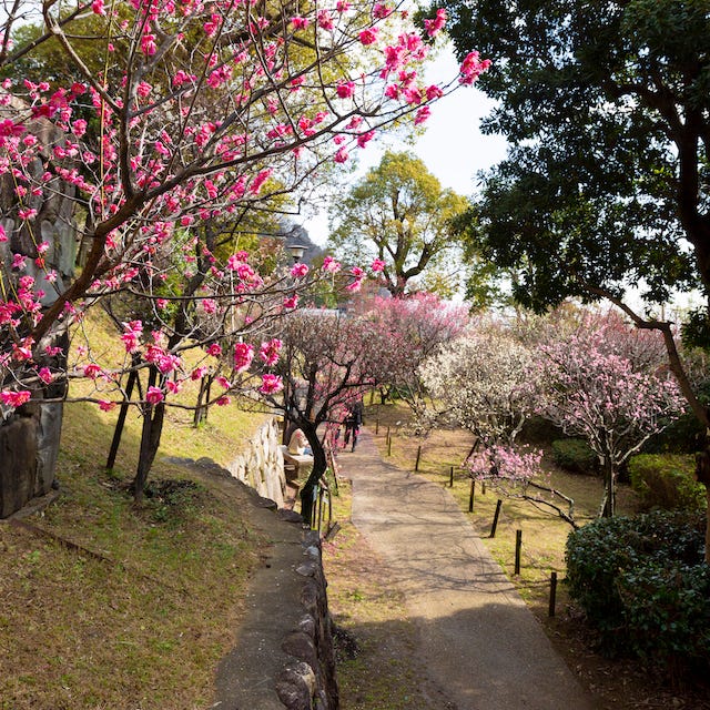 神戸市東灘区役所