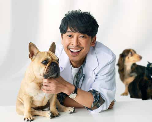 坂本昌行主演「ペットドクター花咲万太郎の事件カルテ」第2弾決定 矢田亜希子・中山優馬ら続投