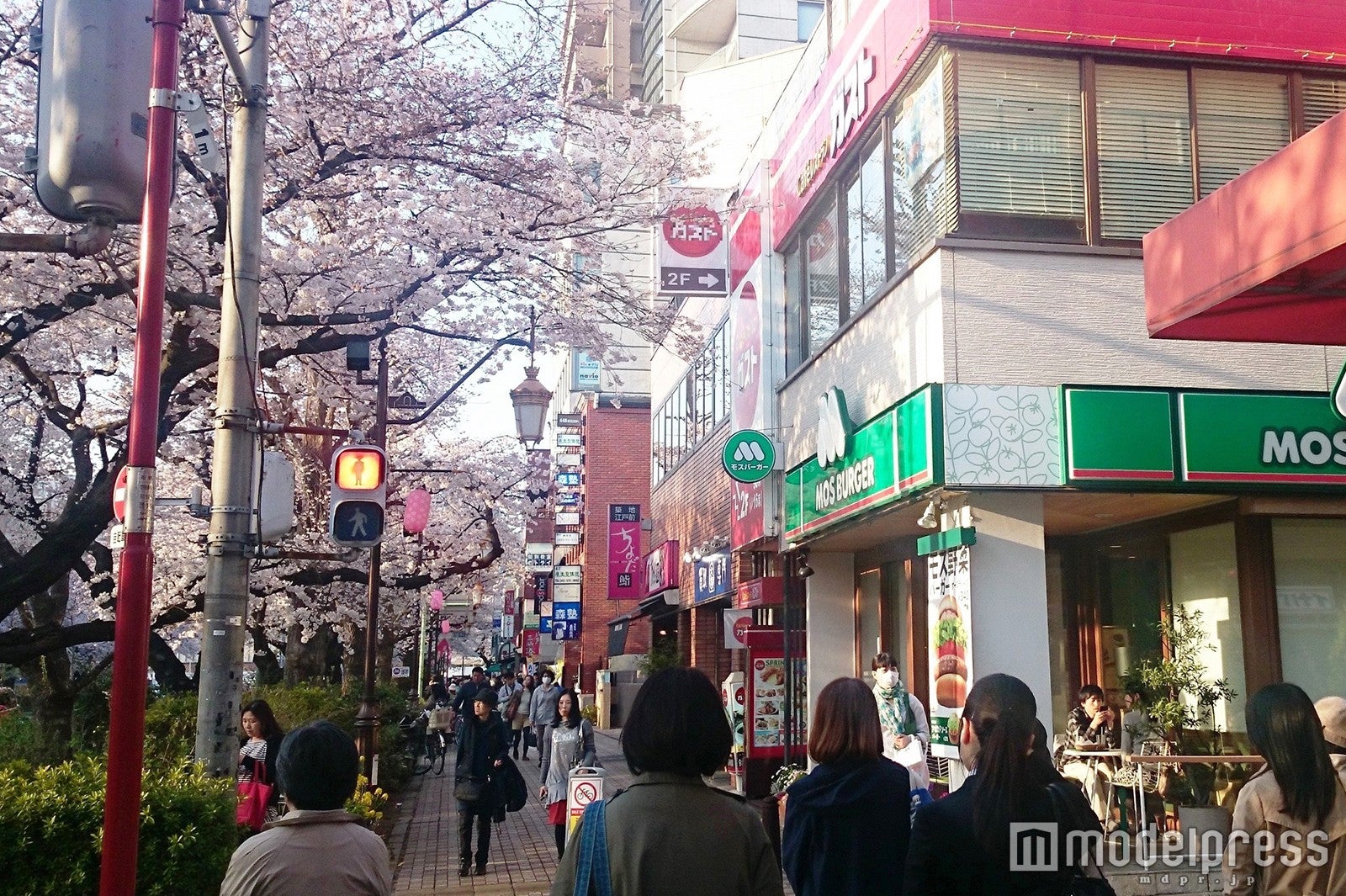 桜の名所「大学通り」に位置するモスバーガー「国立店」／画像提供：モスフードサービス