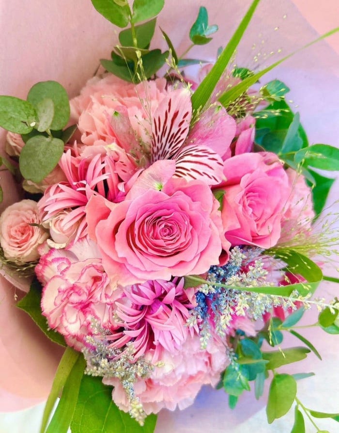 渡辺美奈代オフィシャルブログ「愛弥と名月と姉妹ちゃんから」より