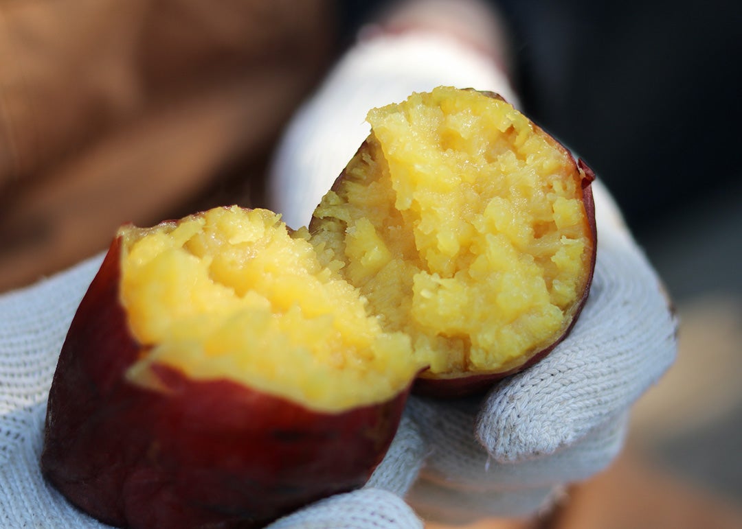 やきいもフェス／提供画像