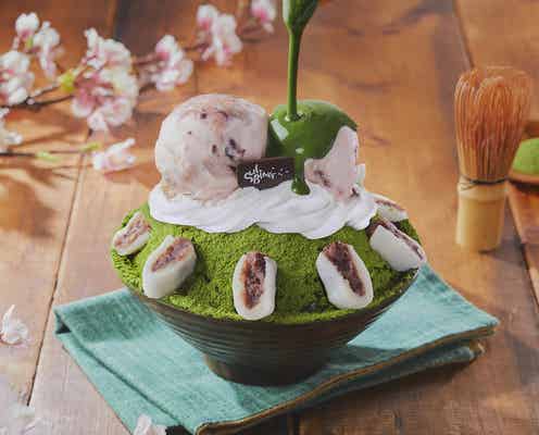 ソルビンに日本限定「抹茶さくら」フレーバー さくら色×グリーンが色鮮やか!