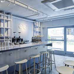 アッシュ/提供画像