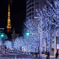【2017年クリスマス】デートにおすすめの東京都内のイルミネーション8選／六本木けやき坂の様子／画像提供：森ビル株式会社