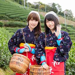 茶摘みに挑戦（左から）入山杏奈、横山由依（画像提供：関西テレビ）