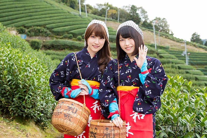 茶摘みに挑戦(左から)入山杏奈、横山由依(画像提供:関西テレビ)