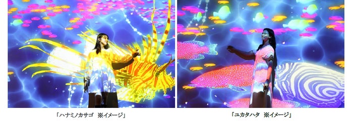 RYUGU FESTIVAL Supported by TOKYO GIRLS COLLECTION/画像提供:横浜八景島