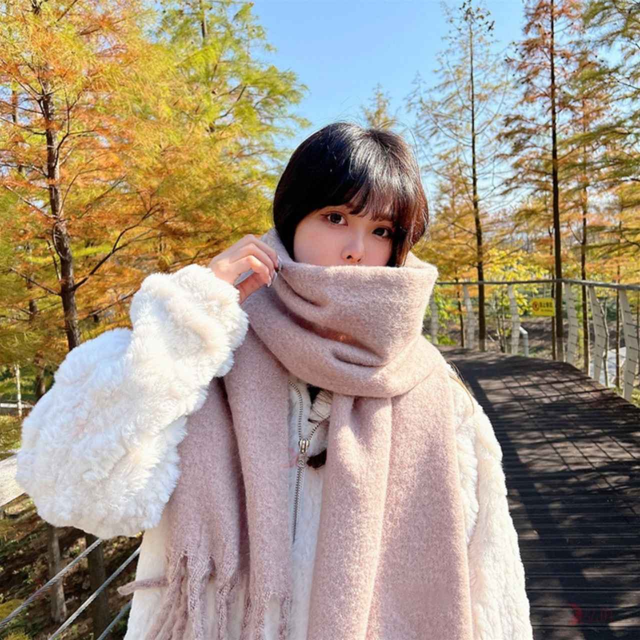 画像: