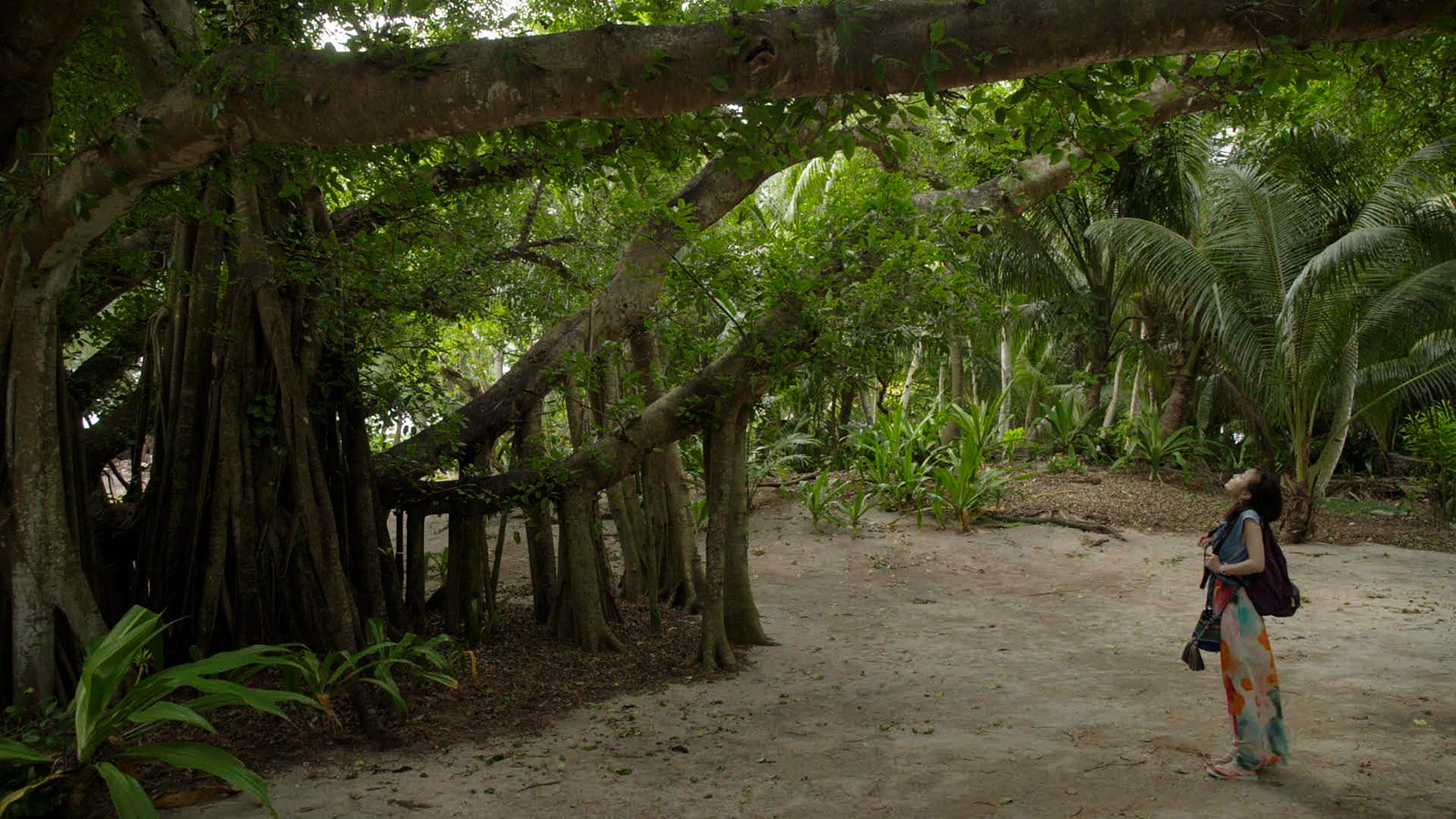 松本まりか（C）ドラマ「地球の歩き方」製作委員会