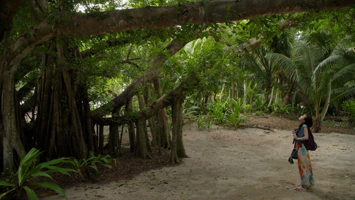 松本まりか(C)ドラマ「地球の歩き方」製作委員会