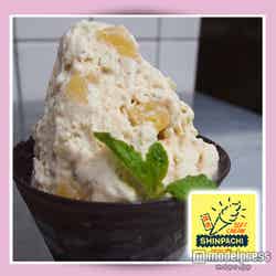 新八茶屋(京都府)Concerto Foresuta(森の協奏曲)/画像提供:ジェラートワールドツアー東京事務局