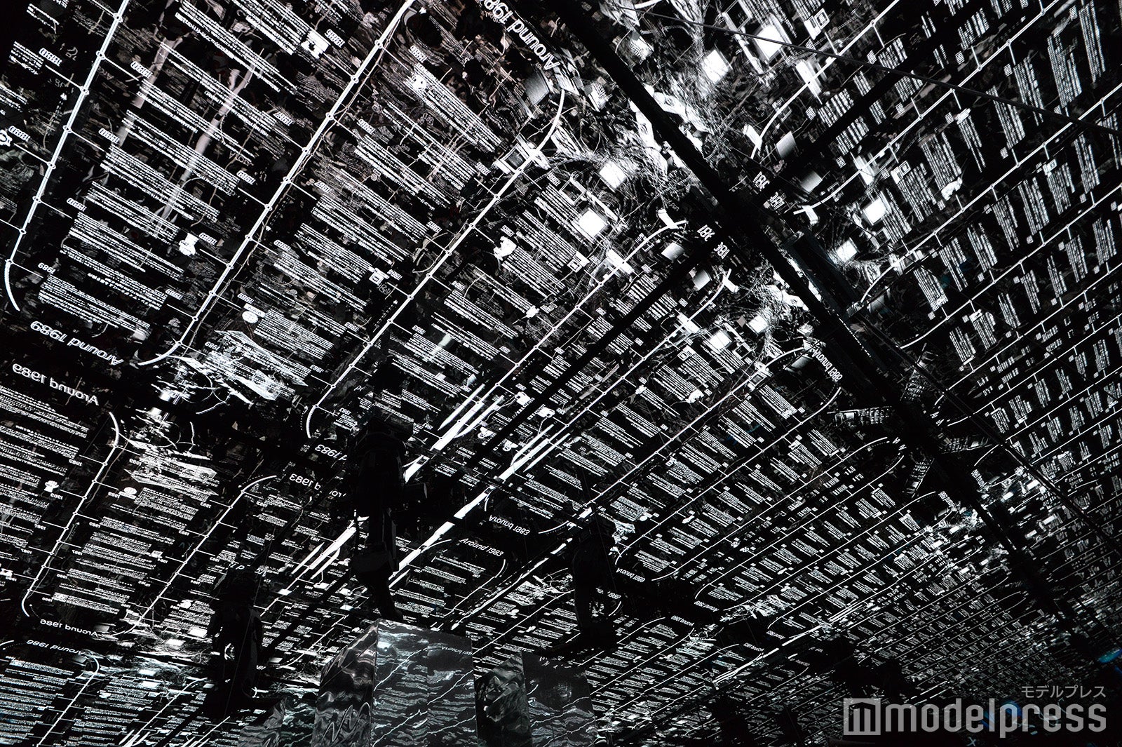 null2（C）モデルプレス