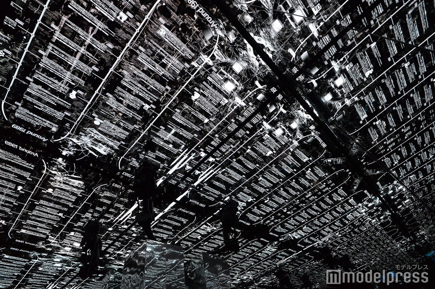 null2（C）モデルプレス