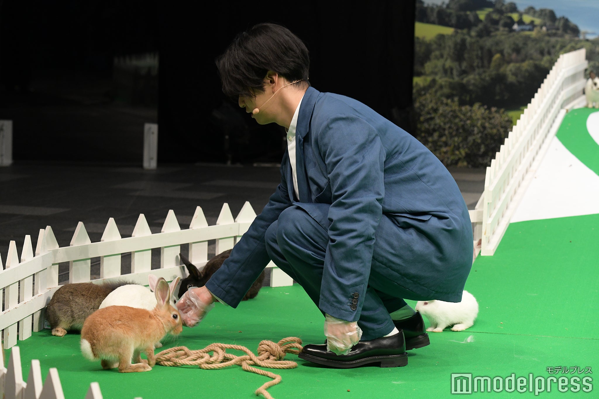 千葉雄大（C）モデルプレス