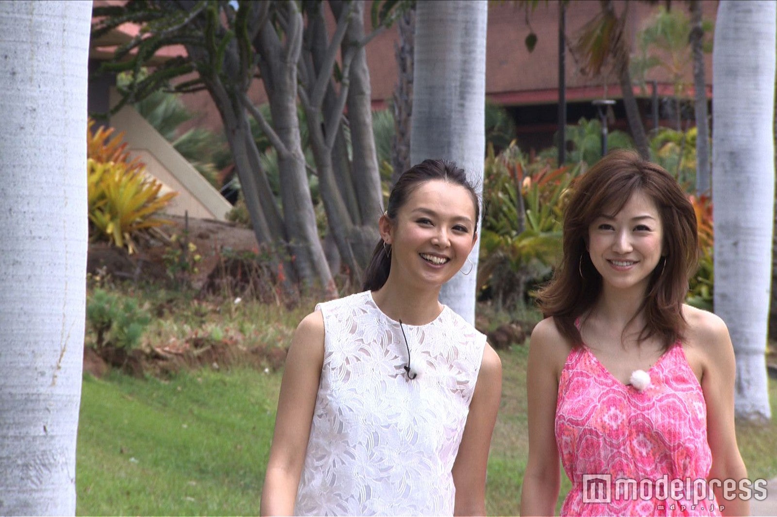 （左から）白石みき、近藤しづか（C）テレビ東京