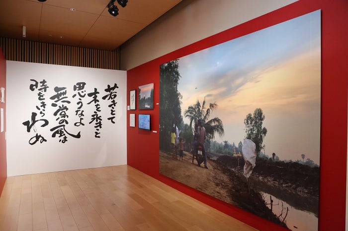 鈴木敏夫とジブリ展(C)TS (C)Studio Ghibli