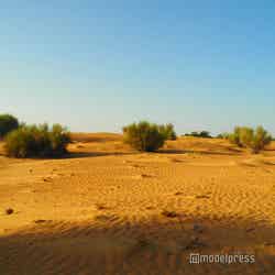 どこまでも続くオレンジ色の砂地が美しいドバイの砂漠（C）モデルプレス