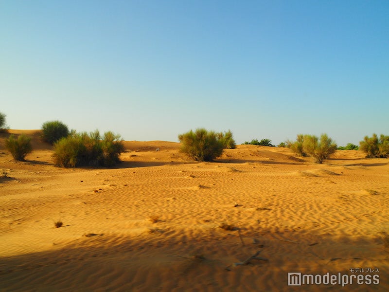 どこまでも続くオレンジ色の砂地が美しいドバイの砂漠（C）モデルプレス