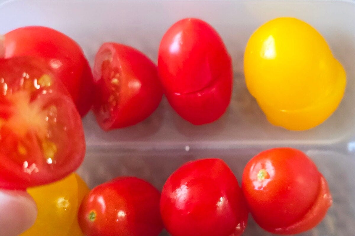 無限きゅうり職人・トマト