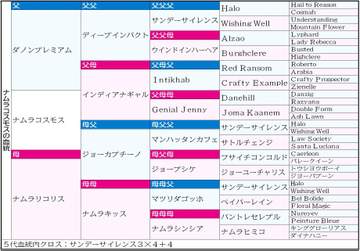 【桜花賞】ナムラコスモス オーナーの狙い通りに受け継がれた筋肉量 母・ナムラリコリスをコラムで取り上げた浅からぬ“縁”も