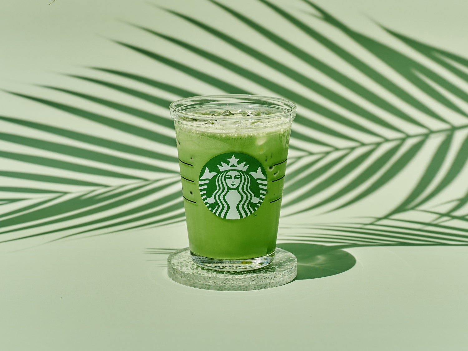 スタバ「抹茶 ティー ラテ」アイス仕様がレギュラーメニュー化　ほろ苦抹茶を優しいミルクと味わう