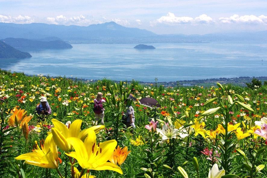 びわこ箱館山ゆり園／画像提供：マックアース