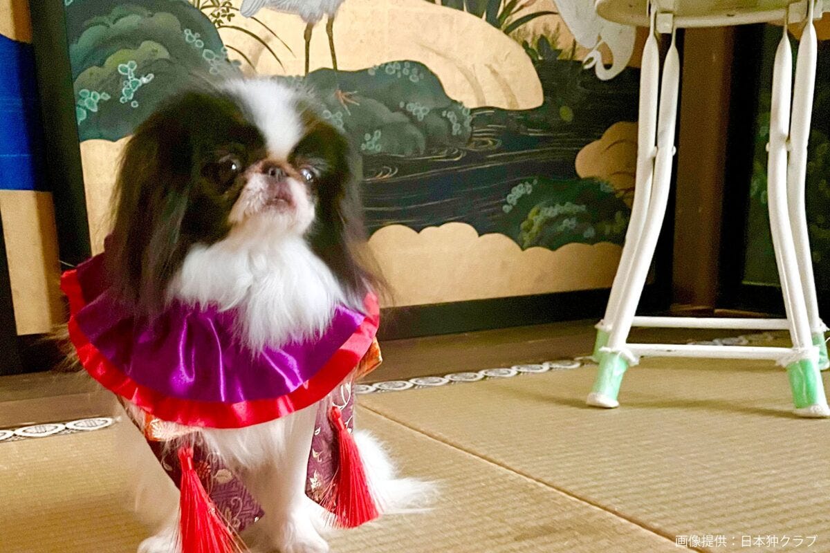 狆