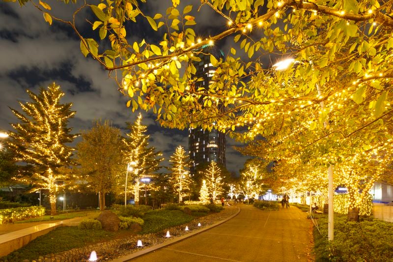 MIDTOWN CHRISTMAS 2019／画像提供：東京ミッドタウンマネジメント