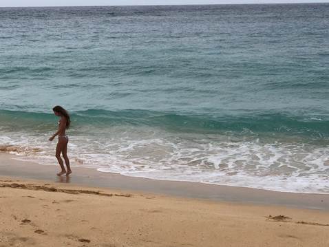 サンデイビーチ（提供画像）