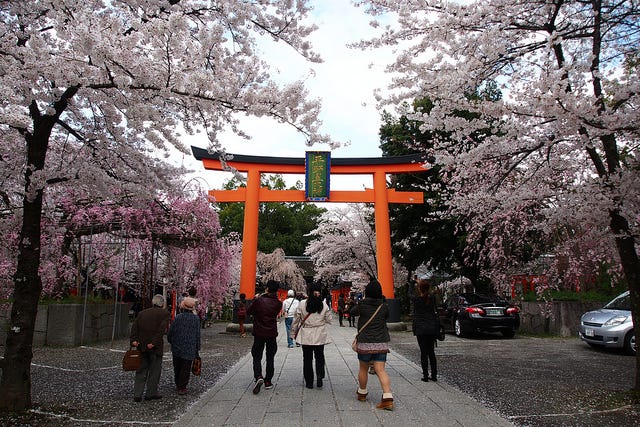 桜&パワースポットを同時に楽しめる場所とは?