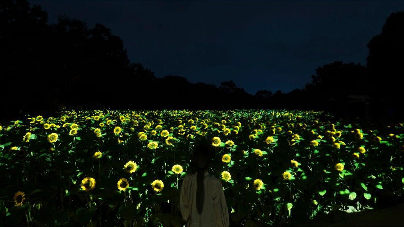 チームラボ ボタニカルガーデン 大阪 （C）チームラボ