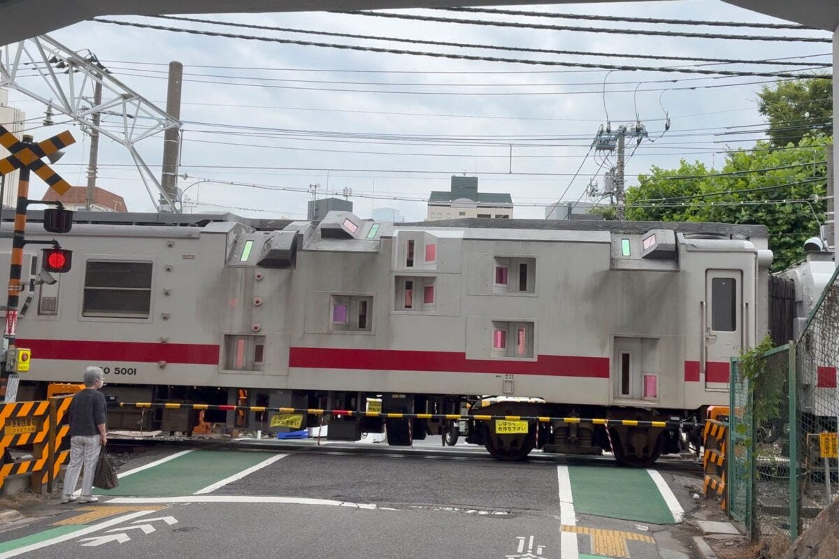 マヤ50