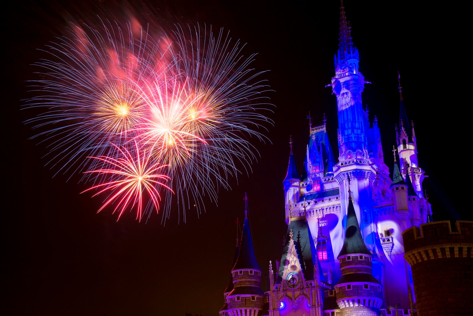 ナイトハイ・ハロウィーン（C）Disney