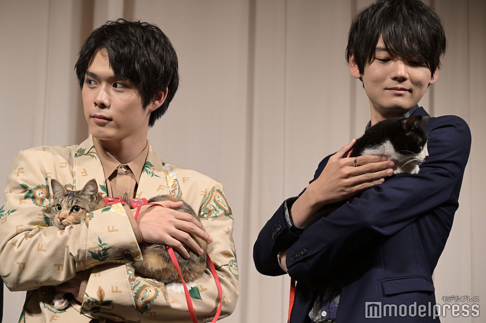 細田佳央太、古川雄輝（C）モデルプレス