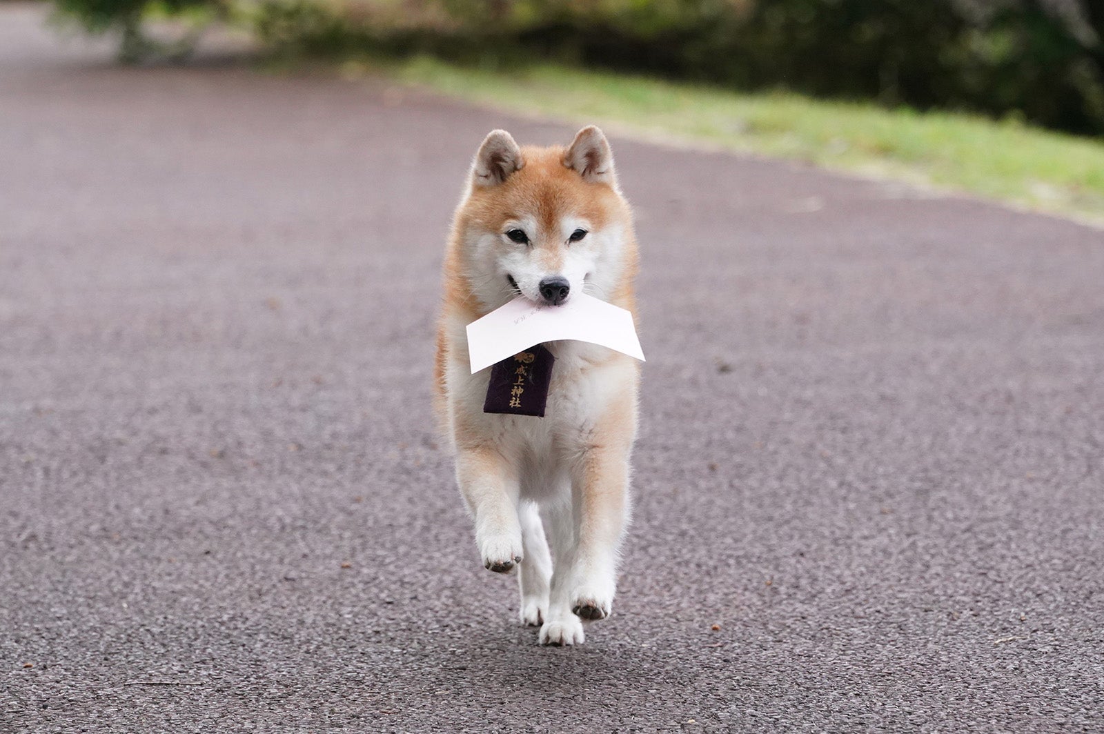 「ナンバMG5」特別編より（C）フジテレビ