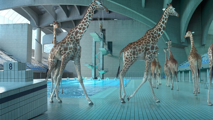 『5m 80cm』 (2013)／画像提供：ショートショート実行委員会