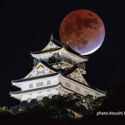 満月を背にした堂々たる佇まい/photo Atsushi Kobayashi
