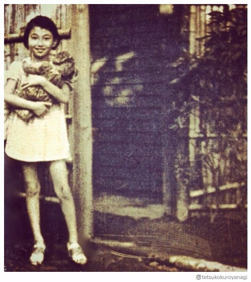 幼少期の黒柳徹子に衝撃走る「脚が長い」「二度見した」