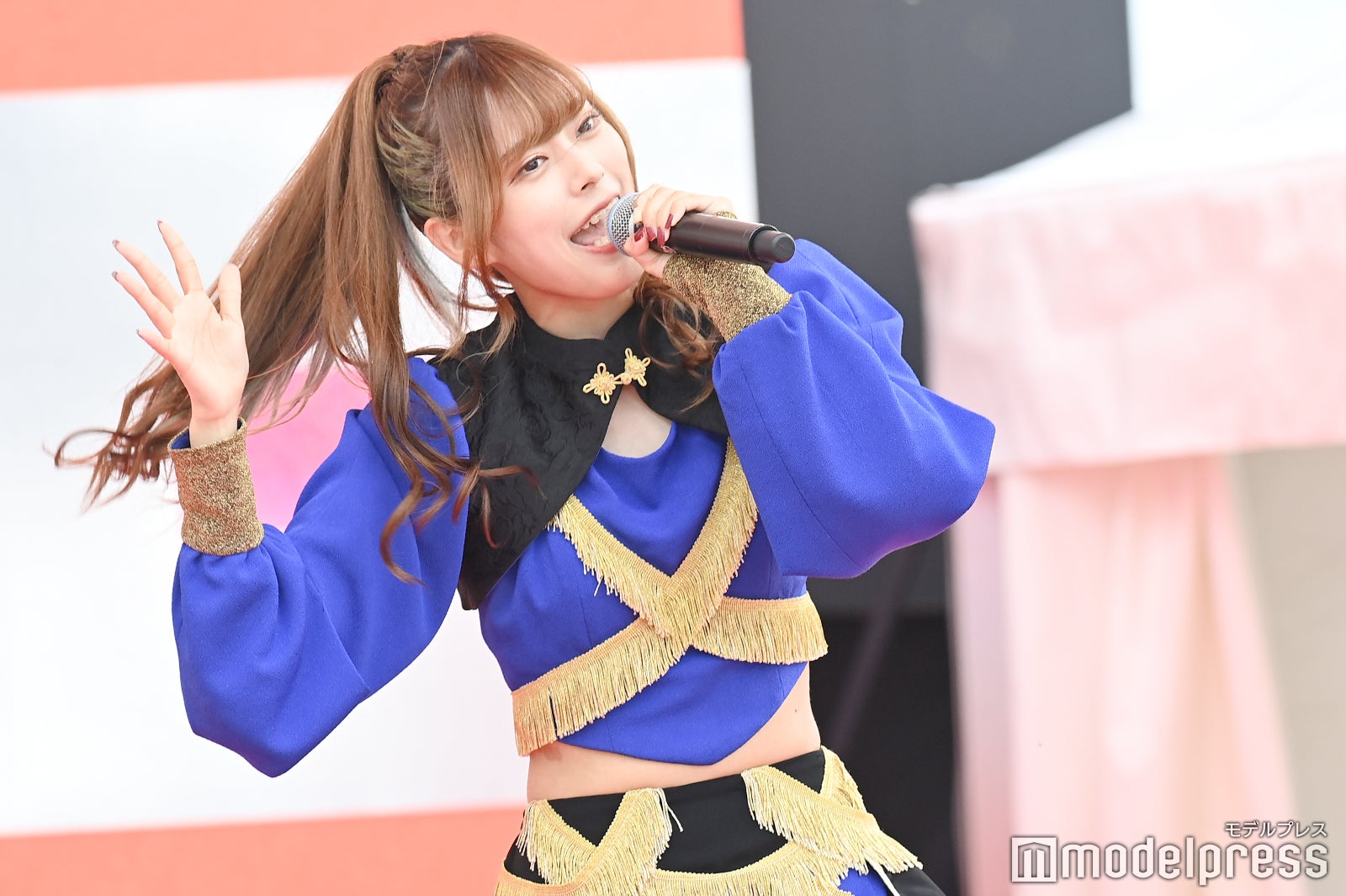 豆柴の大群（C）モデルプレス