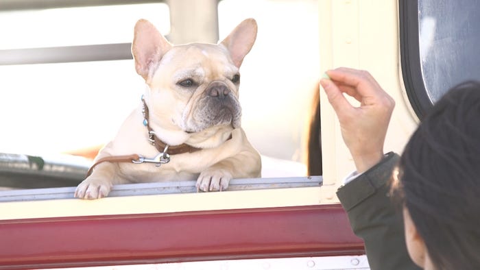 撮影時の様子(提供写真)