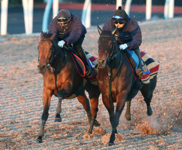 【有馬記念】レガレイラ 初の牝馬連覇へ 史上最多得票の勢いに乗る 陣営「確実に良化」苦手のゲートも前向き